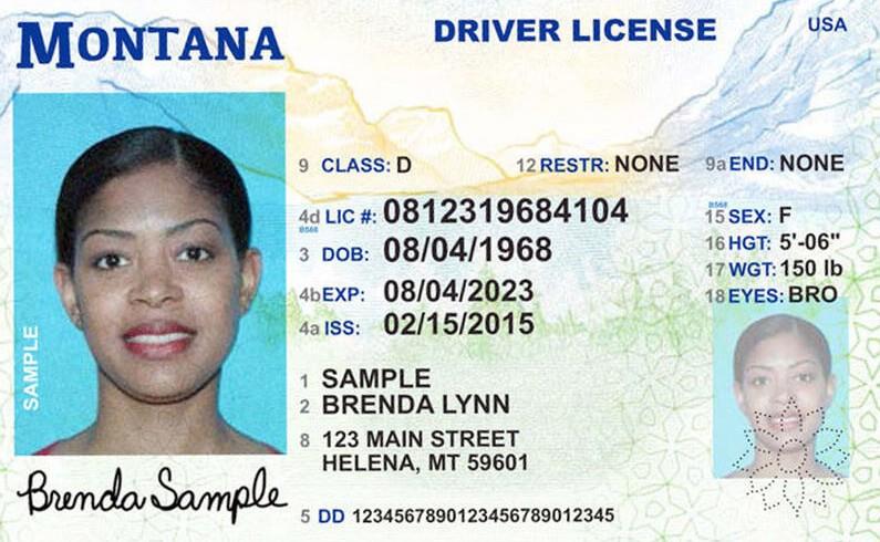 Sample driver's license