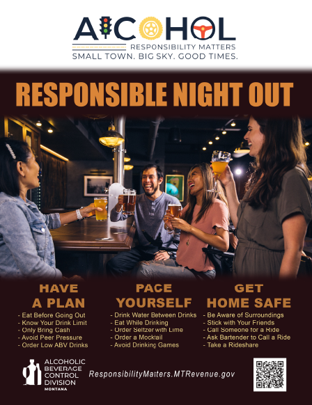 Responsible Night Out poster preview